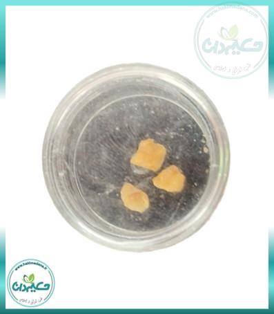 فرفیون بسته ای 4 گرم