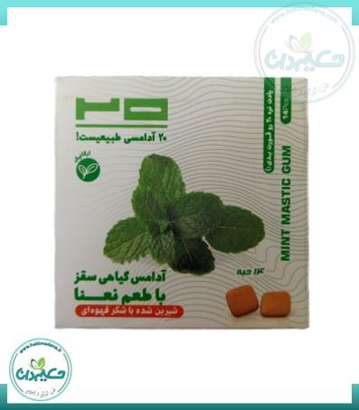 آدامس نعناعی طبیعی 24 گرم