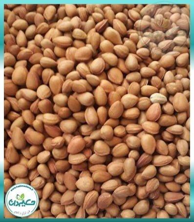 بادام شور کوهی 250 گرمی