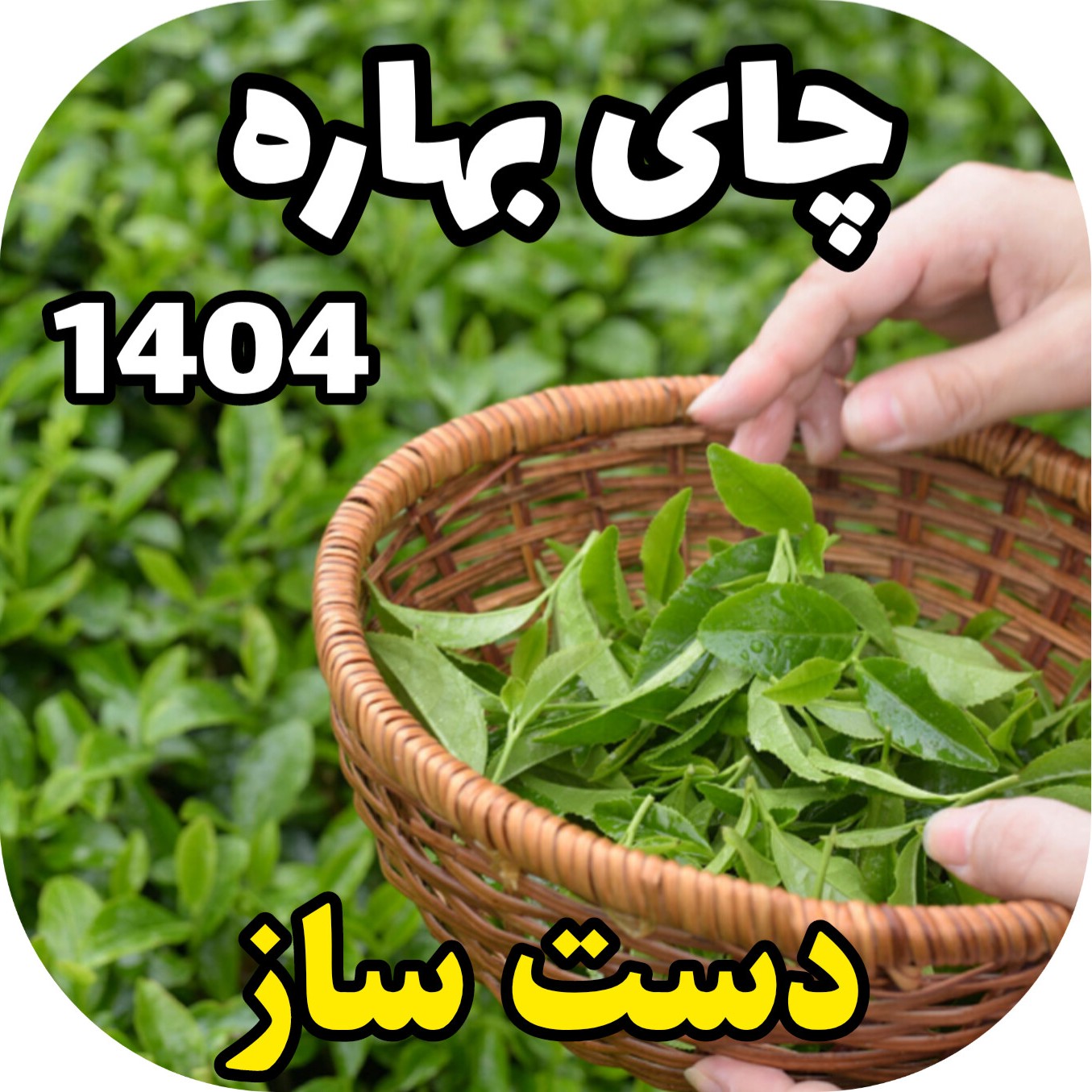 چای سنتی دست ساز بهاره 1404 قیصر (500 گرم)