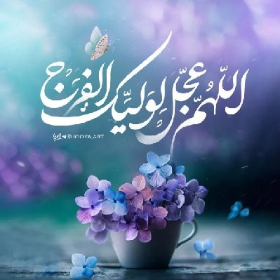 پوشاک ودودنیا