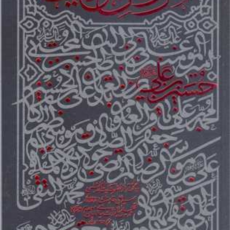 کتاب همرزمان حسین(ع) ده گفتار از رهبری در تحلیل مبارزات سیاسی امامان معصوم(ع) - آیت الله سید علی خامنه ای - انتشارات انق
