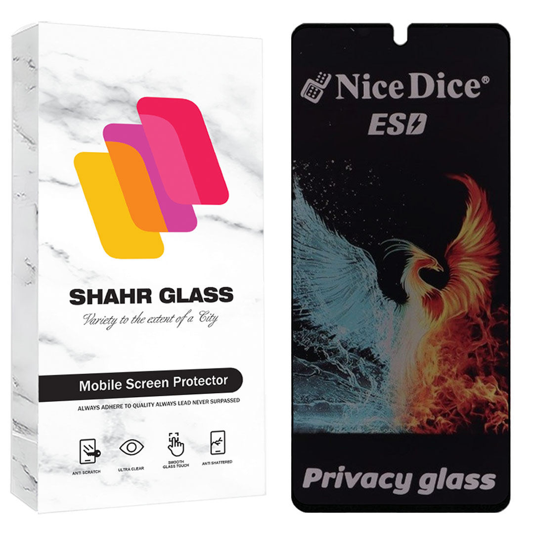 محافظ صفحه نمایش شهر گلس مدل فول پرایوسی نایس دایس Full Privacy Nice Dice ESD مناسب برای گوشی موبایل شیائومی Poco X2 / P