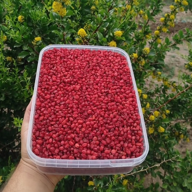 زرشک پفکی نرم و گوشتی درجه یک