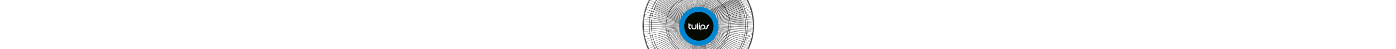 top banner