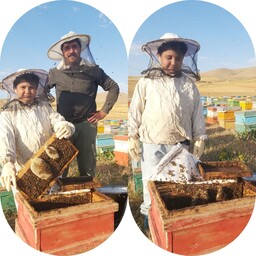عسل با موم طبیعی تازه و با قیمت مناسب