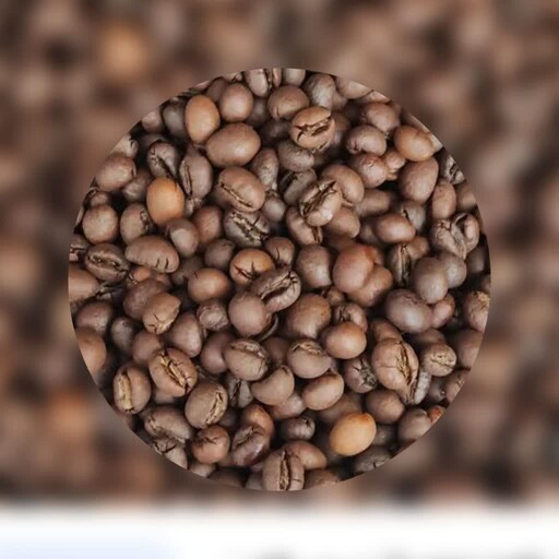 قهوه پی بی هندی درجه یک اورجینال در بسته بندی 100 گرمی