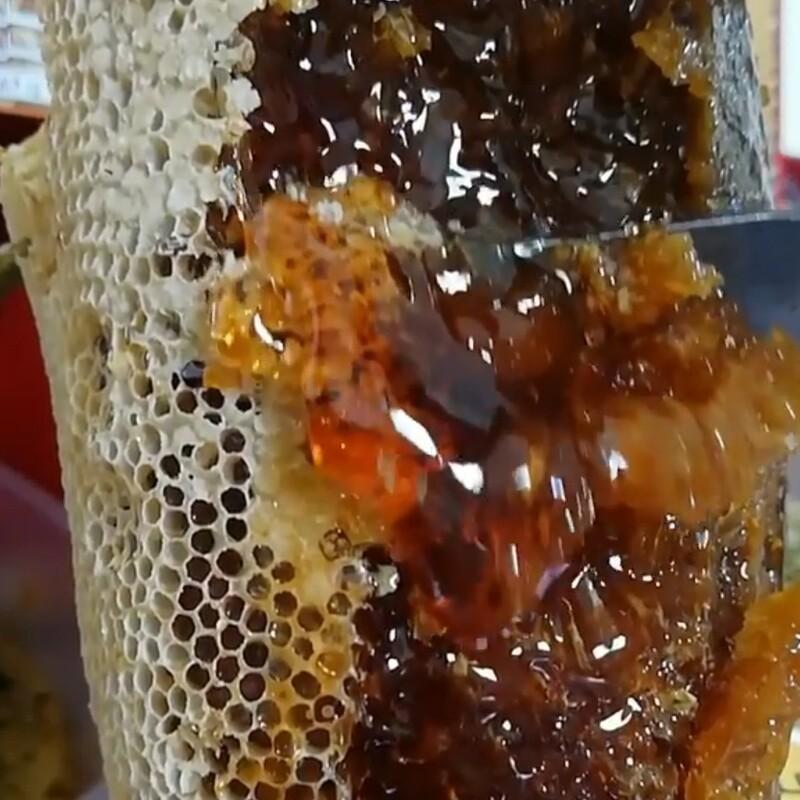عسل وحشی قرمز صخره ویرانگر قدرتی سرعت بالا اثرگذاری نیم کیلو