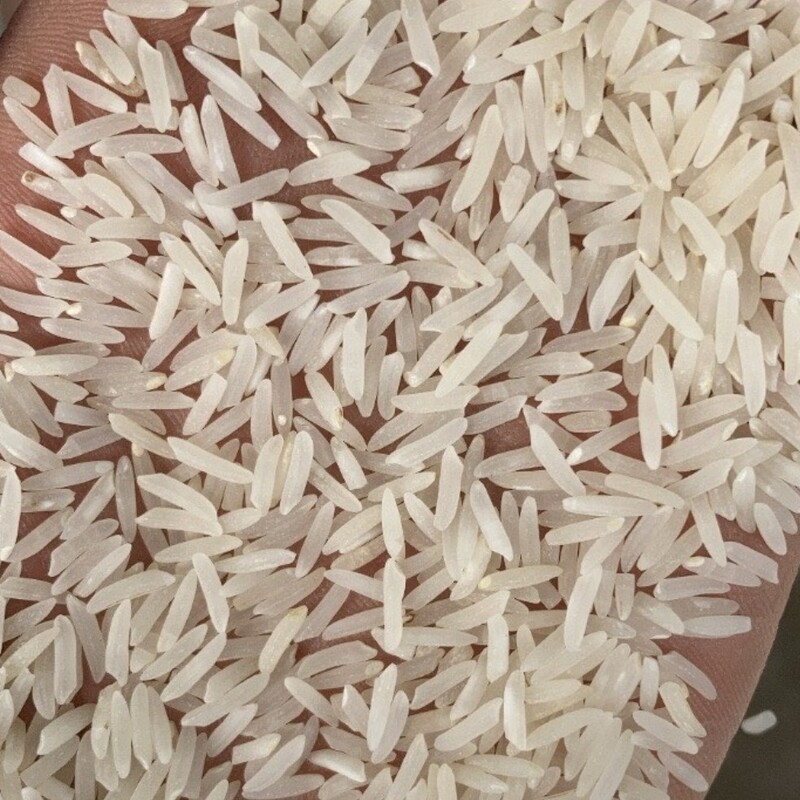 برنج فجر سوزنی 10 کیلویی معطر و یکدست 