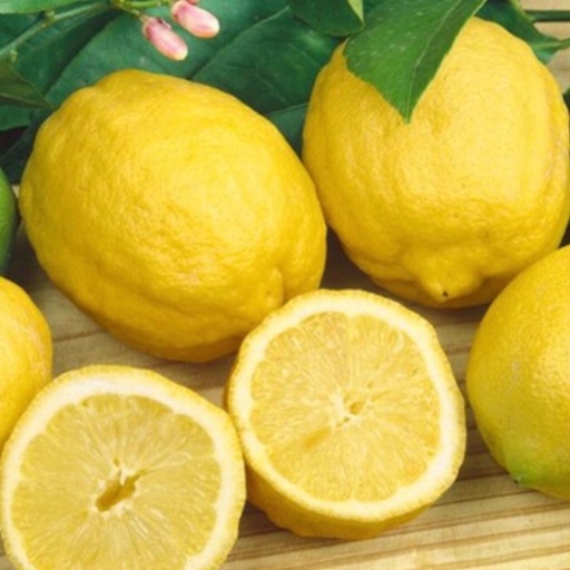 نهال لیمو ترش چهار فصل