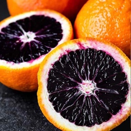 نهال پرتقال خونی ژاپنی