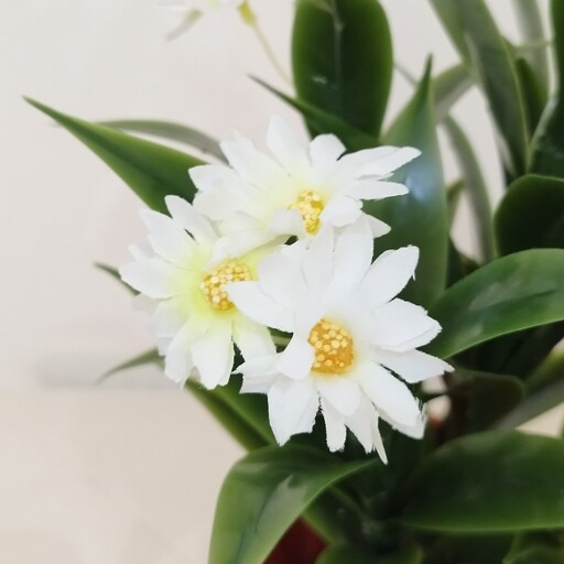 گل مصنوعی  مینا 15 گل سفیدمصنوعی گل پارچه ای گلدان سفیدو اجری (فروشگاه کاج ) 