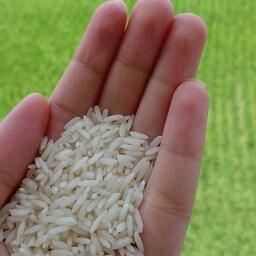 برنج ارگانیک برکت در بسته های 10 کیلویی