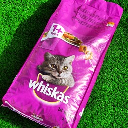 غذای خشک گربه مغزدار بالغ ویسکاس با طعم گوشت ( بیف ) بسته  1 کیلویی گرم (1000گرمی)
Whiskas 
