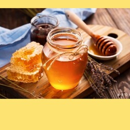 عسل اشترانکوه، ضامن سلامتی،یک کیلویی، کیفیتی بسیار بالا،طعمی بیادماندنی،