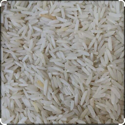 برنج طارم هاشمی،کیسه 10کیلویی،خوش پخت خوش قیمت