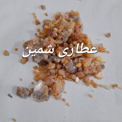 صمغ باریجه(قاسنی)