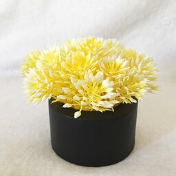 گلدان گل مصنوعی مدل شویدی زرد رنگ گلدان مشکی قطر 6 و ارتفاع 8 سانتی متر