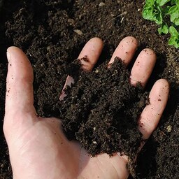 خاک باغچه ی تقویت شده کیسه شده حاوی قارچ کش و NPK وزن 500 کیلوگرم  (یک متر مکعب)
