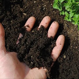 خاک باغچه ی تقویت شده کیسه شده حاوی قارچ کش و NPK وزن 2 تن 