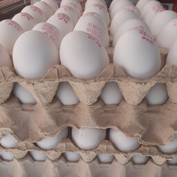 تخم مرغ زرده طلایی کارتن 6 شانه ای با وزن بالای 12 کیلو هر شانه  30 عددی مجموع 180 عدد 