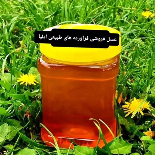 عسل طبیعی قاصدک  ( فراورده های طبیعی ایلیا )