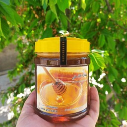 عسل ویژه چهل گیاه طبیعی سردشت غیرتغذیه ای و بدون مواد نگه دارنده (500 گرمی)