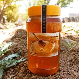 عسل طبیعی چهل گیاه سردشت، بدون مواد نگهدارنده (1 کیلوگرمی)