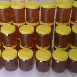 عسل شکوفه زیرفون عمده (20 کیلو در ظرف های یک کیلویی )