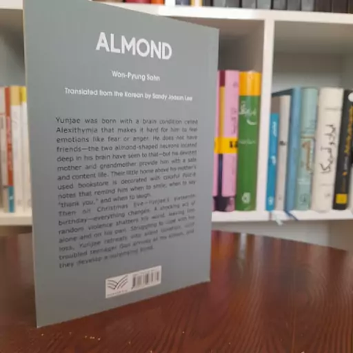 کتاب زبان اصلی بادام almond اثر   وون پیونگ سون 