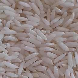برنج درود خوش طعم و به شرط پخت 