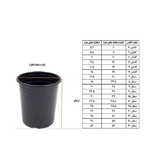 گل برگ انجیری ابلق مانسترا  سایز گلدان 3 ( ارسال با باربری بصورت پس کرایه)