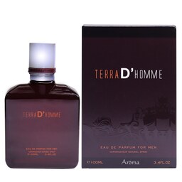 ادکلن هرمس terra D homme حجم 100 میلی لیتر