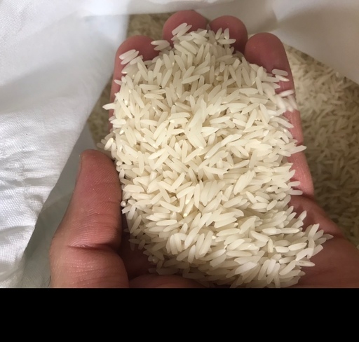 برنج صدری دمسیاه سفارشی 60 کیلو (فوق اعلاء) آستانه اشرفیه (6کیسه10 کیلویی