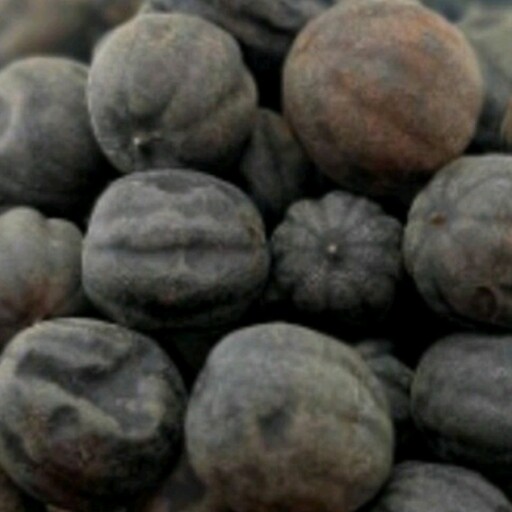 لیمو عمانی سیاه 100 گرمی عطاری دستانی 