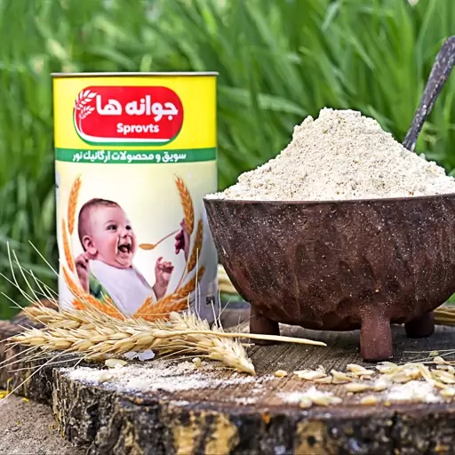 میکس جوانه ها500گرم