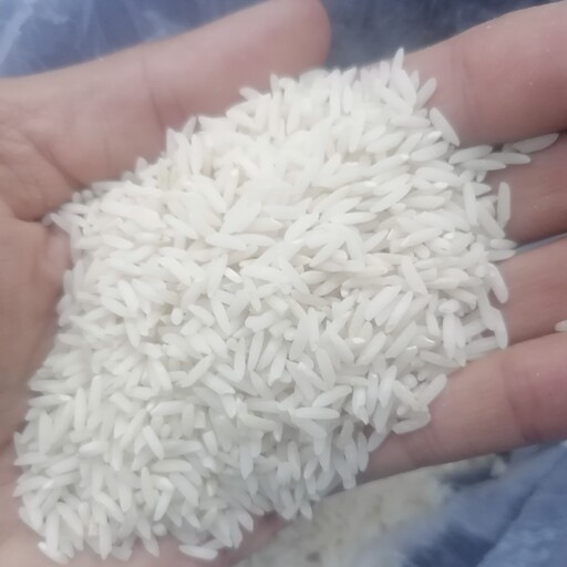 برنج طارم هاشمی معطر درجه یک 5 کیلویی اعلاء دانه طلا کشت اول