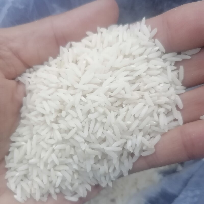 برنج شیرودی خوش پخت درجه یک 20 کیلویی اعلاء دانه طلا کشت اول شهر جویبار