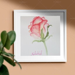تابلو نقاشی آبرنگ گل رز