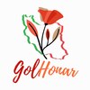 فروشگاه ایران گل هنر