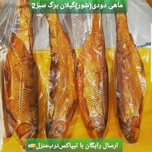 ماهی دودی یا (شور)  روغنی گیلان