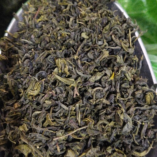 چای سبز لاهیجان درجه یک قلم بدون ساقه فقط برگ 500 گرمی چای ایرانی چای سبز شمال 