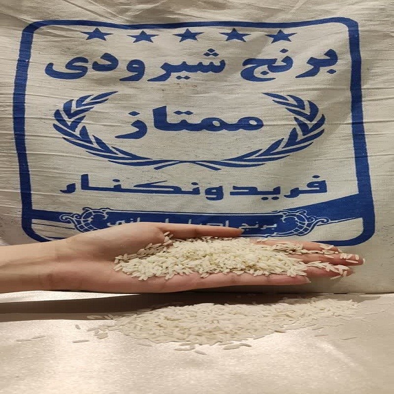 برنج شیرودی اعلاء فریدونکنار