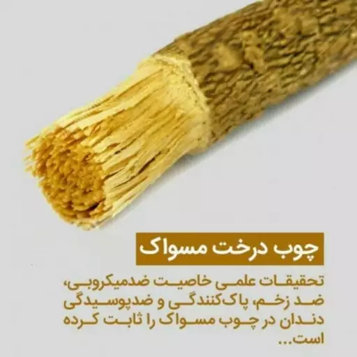 چوب مسواک اراک (مسواک طبیعی پیامبر) 