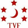 تی وی اف TVF