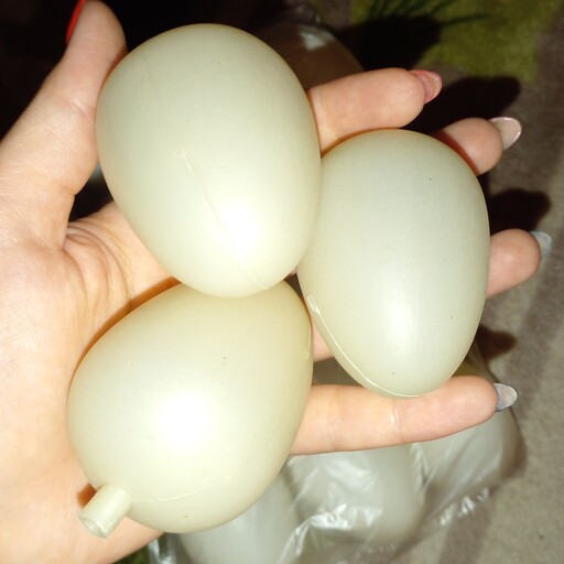 تخم مرغ پلاستیکی هفت سین 