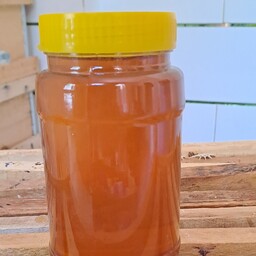 عسل خوشمزه و با کیفیت گیاه گاو پونه و گل هرمونه 1 کیلویی 