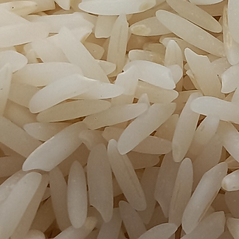 برنج طارم استخوانی (شیرودی) اعلاء پاک شده با سورتینگ محصول 1402 سه الکه (10 کیلویی) - ارسال رایگان با پست پیشتاز 