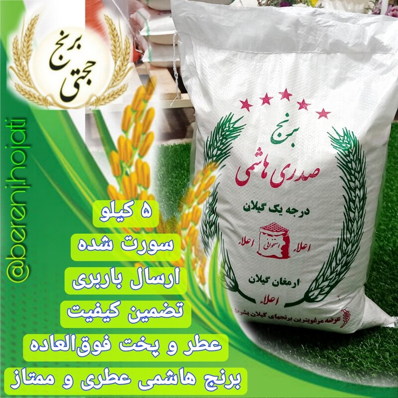 برنج هاشمی درجه 1 سورتینگ شده محصول برنجکوبی حجتی (5 کیلویی) ارسال رایگان به سراسر ایران عزیزمون