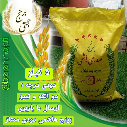 برنج هاشمی دودی درجه 1  محصول برنجکوبی حجتی (5 کیلویی) ارسال رایگان به سراسر ایران عزیزمون